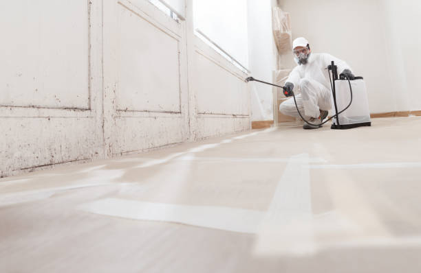 24/7 Emergency Attic Mold Removal experts in Wilmette, IL