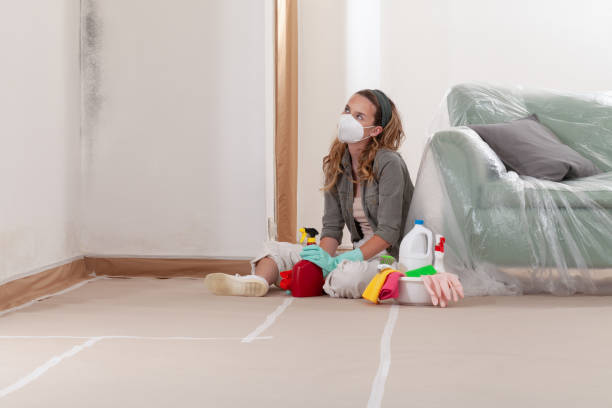 Reliable Attic Mold Removal contractor in Wilmette, IL by WQB Mold Removal